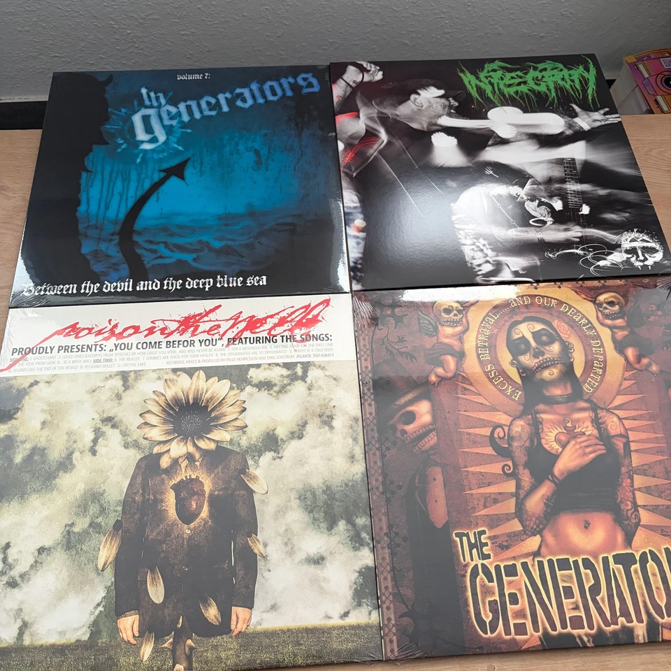 39x Vinyl LP Collection PUNK HARDCORE Integrity Poison The Well Blitzkid - Bild 4 von 4