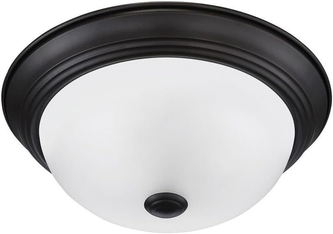 2-Light Flush Mount Ceiling Light, 11 Inch Lighting Fixture for Kitchen, Bedroom