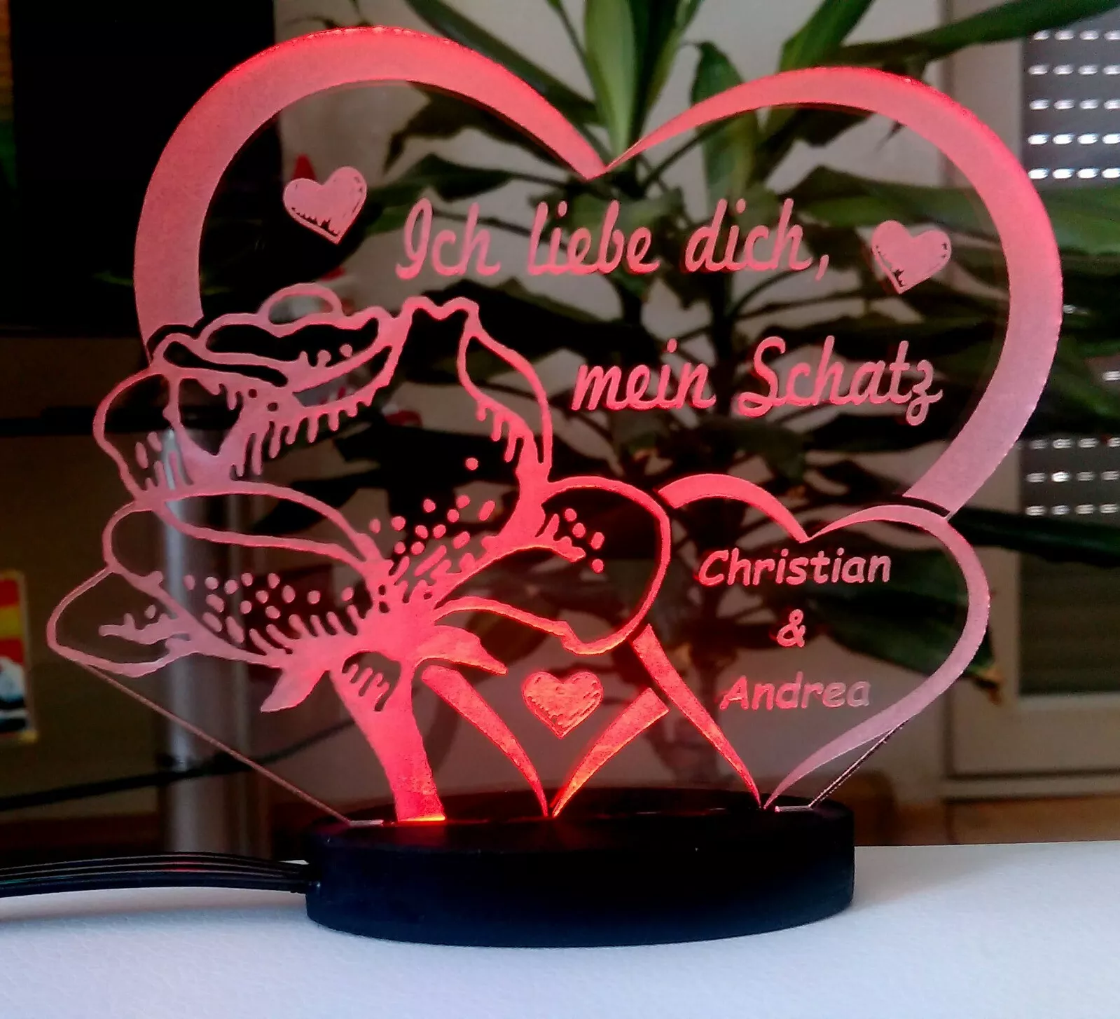 Bild 3 von 12