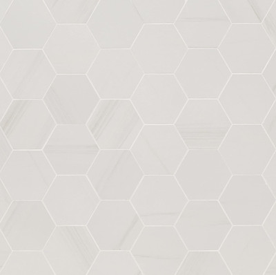 Eden Dolomite Hexagon Matte Porcelain Mosaic Tile for Backsplash & Shower