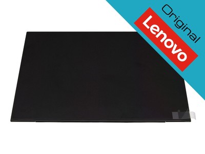 Lenovo SD10Z34933 LED Display (1920x1200) matt slimline (Non-Touch)