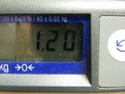 Bild 8 von 9
