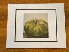 Kitchen Vegetable Matted Art Print Green Tomato by Sarah Dixon 11 x 14 Matted