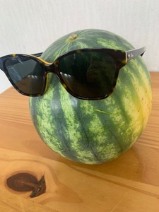 dior tortoise shell sunglasses