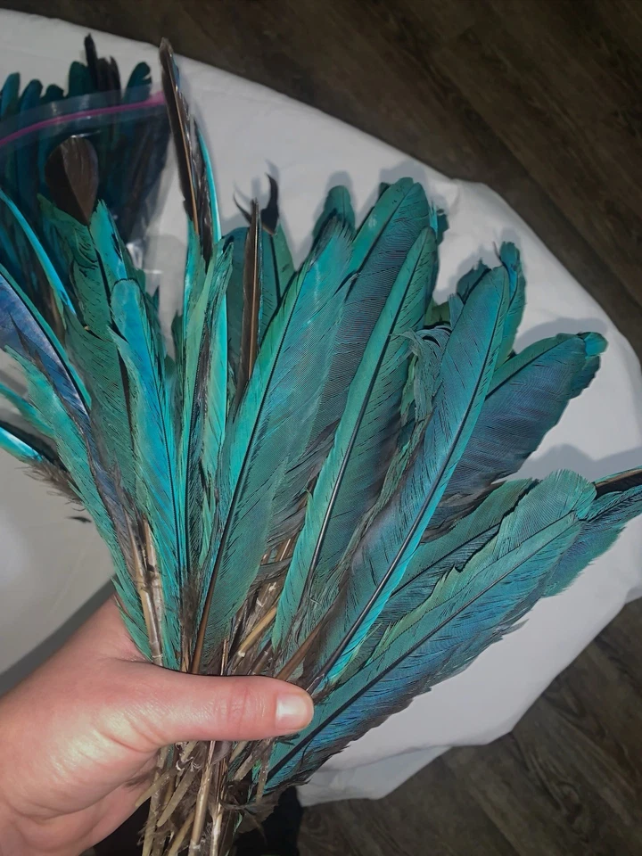 Más de 50 hermosas plumas de guacamayo turquesa/verde y algunas negras. ¡3 juegos disponibles! Foto 3 de 4