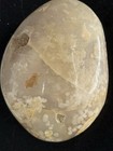 Polished Flower Agate Freeform Cream/White w/ Brown Inclusions 3 in — photo 6