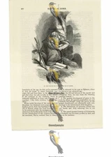 St John On Patmos, Biblical Image, Book Illustration (Print), 1856