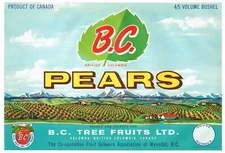 ORIGINAL PEAR CRATE LABEL CANADA BRITISH COLUMBIA 1950S B.C. WYNNDEL KELOWNA 