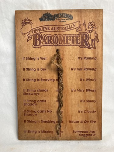 Vintage Wooden Outdoor Comedy Novelty Rain gauge 1970s Dunedoo NSW Souvenir