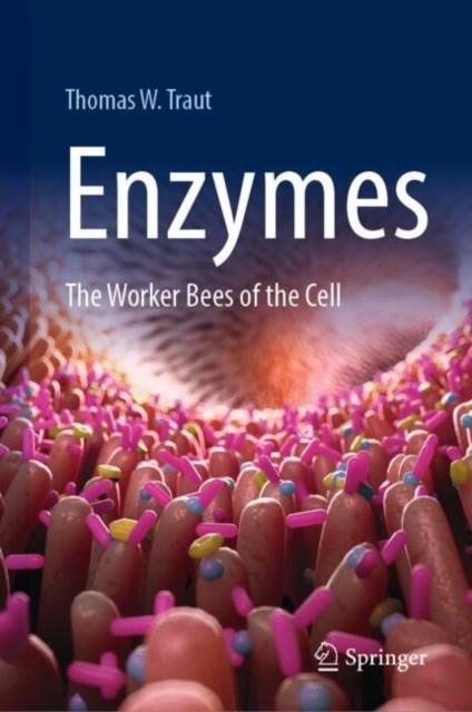 Enzymes: The Worker Bees of the Cell by Thomas W. Traut (HB 2025) - Image 2