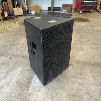 Custom Built Pro Two Way Speakers 12  with horn driver