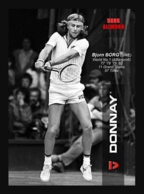 Vintage Donnay Allwood Bjorn Borg Tennis Light 2 Rare Case