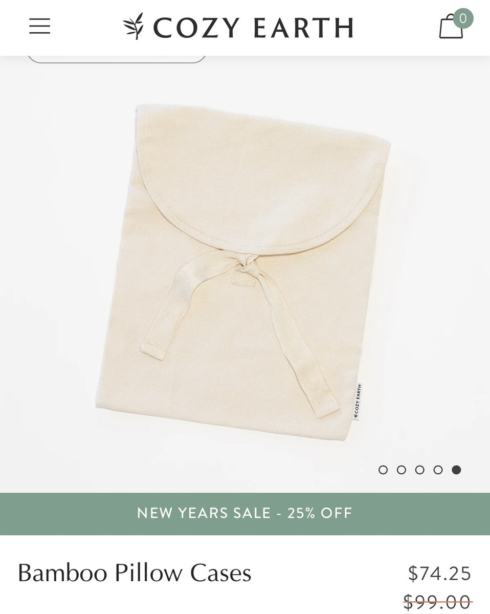 Cozy Earth Bamboo King Sized Pillowcases