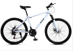 24 hardtail mountain bike