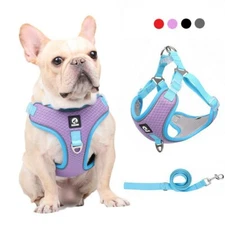 Dog Puppy Harness with Leash Set Polyester Mesh Vest Comfortable Dogs Pets Vest