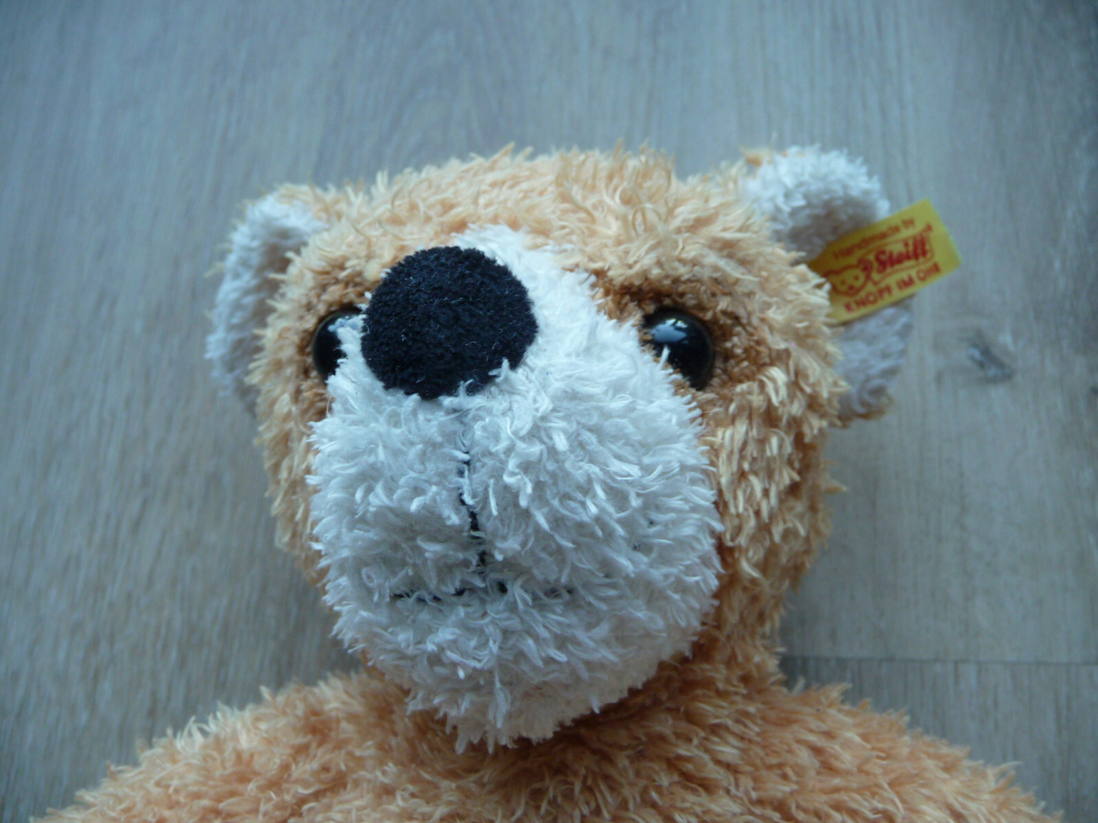 Bild 2 von 3