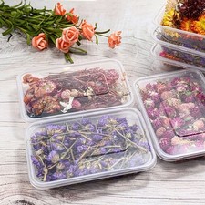Premium Trockenblumenmischung f??r vielseitige Bastelharz- und Kerzenherstellung