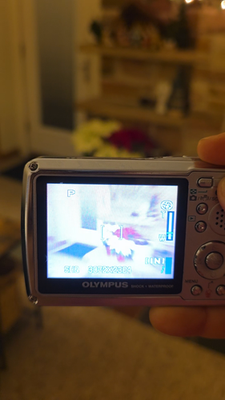 Olympus Stylus 725 SW Digital Camera 7.1MP Waterproof Silver with