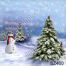 Christmas 8'x8' Computer Painted Winter Scenic background backdrop SZ460B66