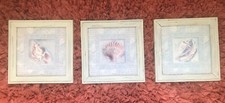 Seashell Glass White Wash Framed 11 x 11 Pictures - Set of 3.