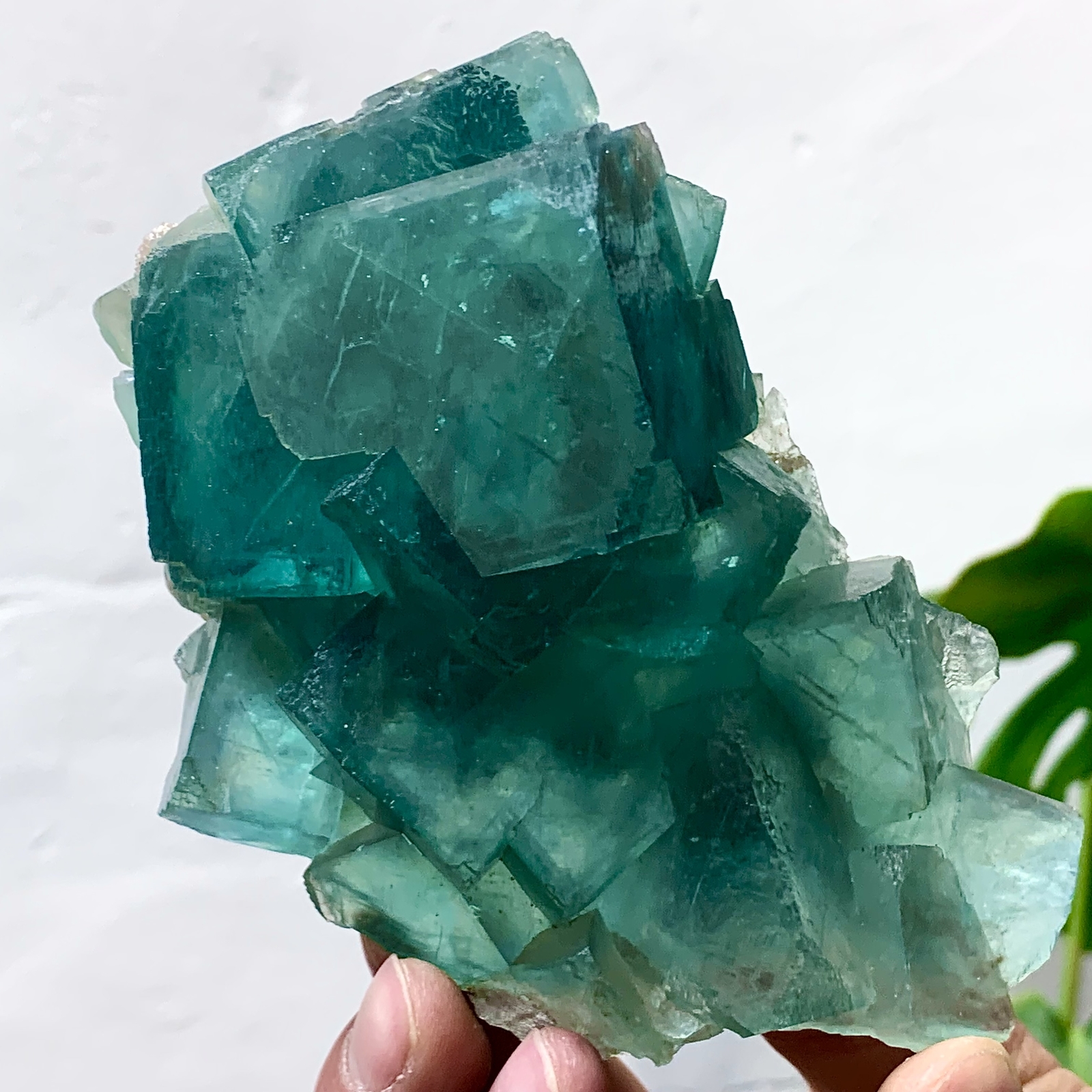 1.35LB Natural Green Cubic Fluorite Crystal Specimen from China