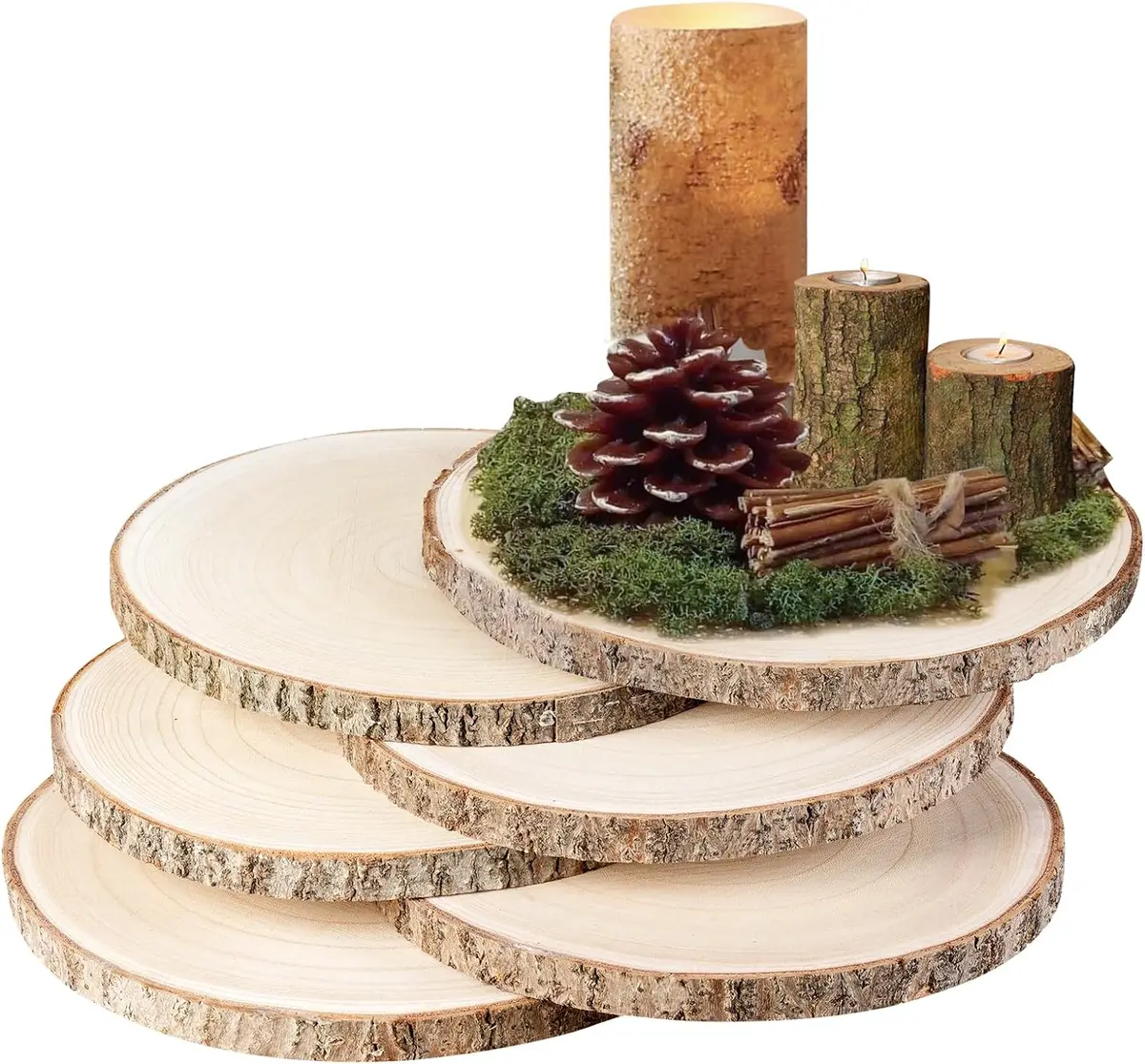 10 Pack Discount Large Wood Slices Discount Wood Slices for Wood