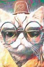 Digital image picture photo wallpaper background