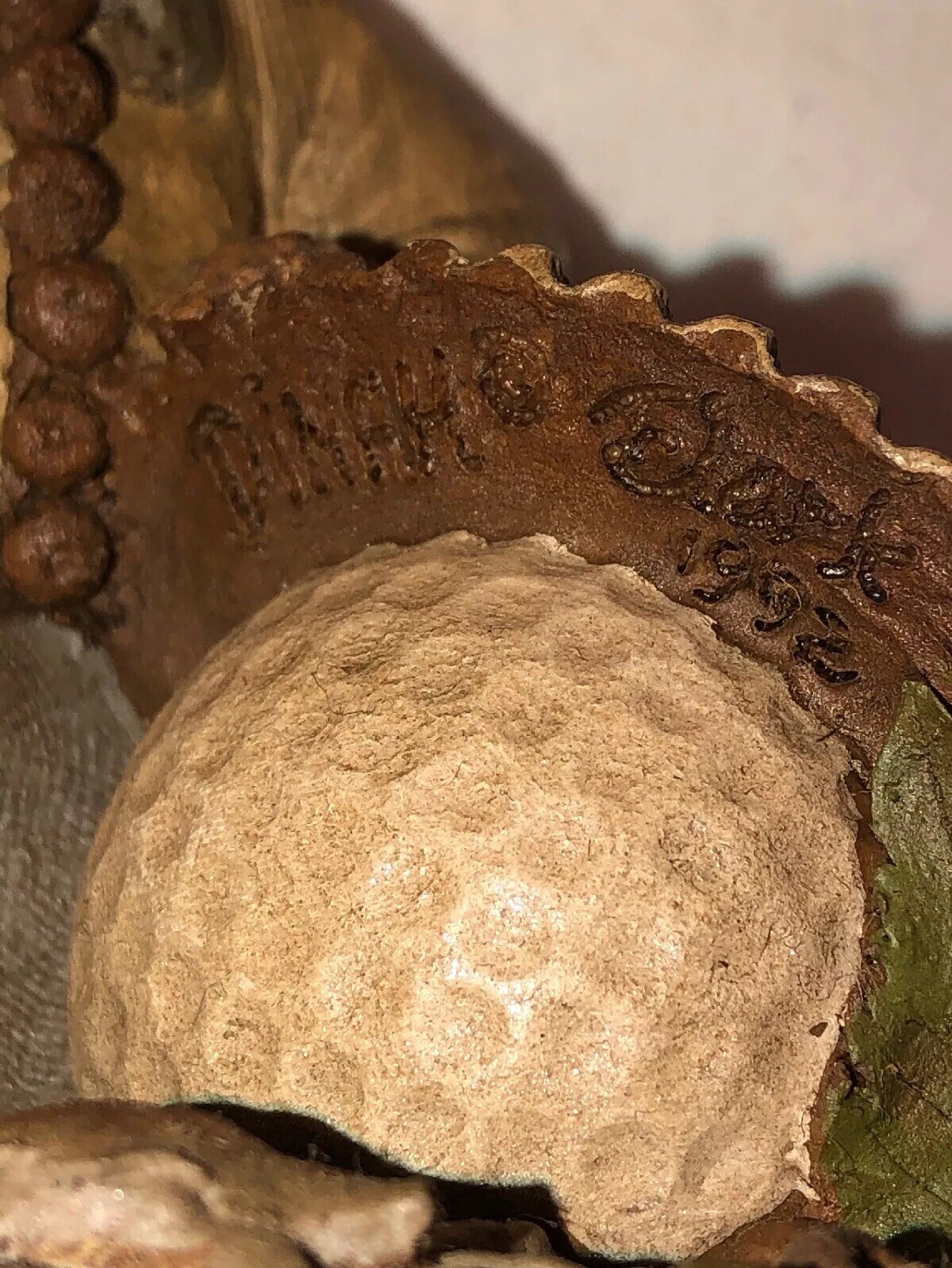 Picture 7 of 8