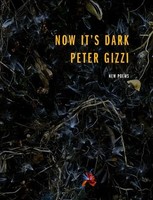 Now It's Dark | Peter Gizzi | Englisch | Taschenbuch | Kartoniert / Broschiert