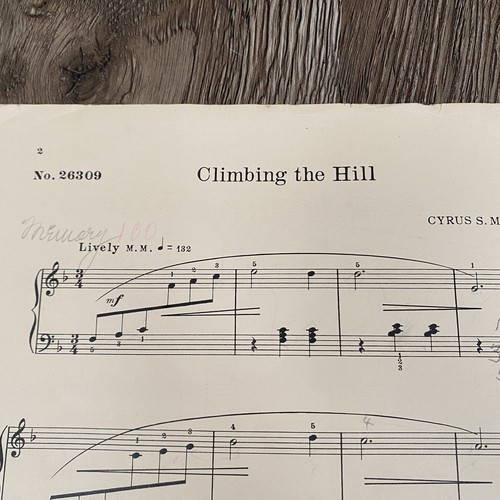 Climbing the Hill 1935 Piano Solo Sheet Music Cyrus Mallard - Picture 3 of 7