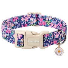 Floral Dog Collar Spring Wildflowers Daisy Fleabane Plastic Buckle Medium