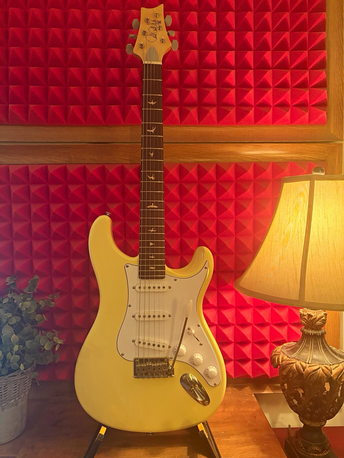 PRS SE Silver Sky purchased June/2026