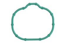 Ansaugkrümmerdichtung für FORD USA EDGE, EXPLORER, F-150, FLEX, MUSTANG