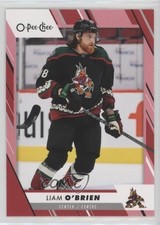 2023-24 O-Pee-Chee Red Border Liam O'Brien #322 06x7