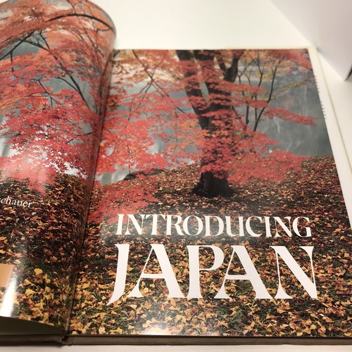 Buddhism Japan Japanese Culture History Studies Information HC Book - Imagen 5 de 16