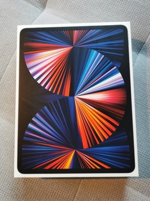Apple iPad Pro 12,9'' 256 GB - Space Gray 5. Generation 5 Gen 12.9 Grau