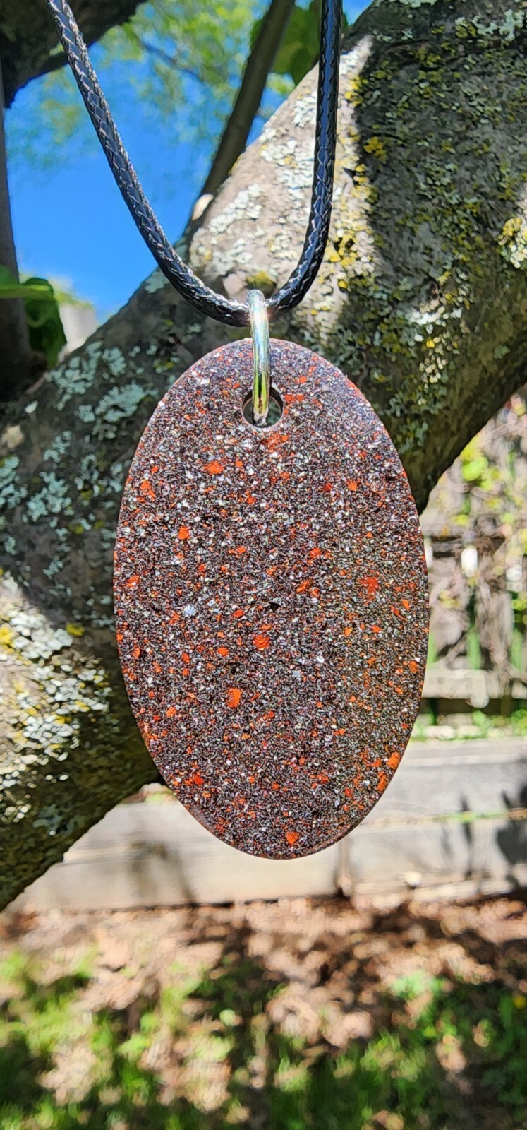 Picture 6 of 12