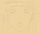 The Twelve Kingdoms Juuni Kokki Genga Douga Original Sketches Pierrot - Youko — photo 2