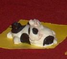 Bild 3 von 8