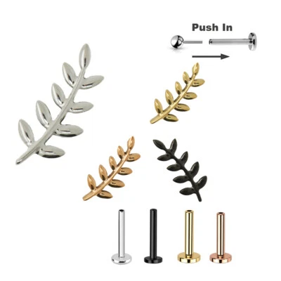 Titan Blatt Pin Stecksystem Labret Ohr SteckerHelix Lobe Piercing Push in Silber - Bild 1 von 4