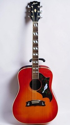 Morris MWD-03 Dove Model Dreadnought Acoustic Guitar Made in Japan w/Soft Case