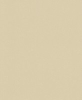 Rasch Tapete Vlies Bestseller 610383 Beige Uni Feine Strukturierung Vliestapete