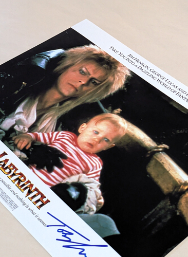 TOBY FROUD signed 8x10" Photo w/ DAVID BOWIE Labyrinth HENSON autograph COA - 第 5/7 張圖片