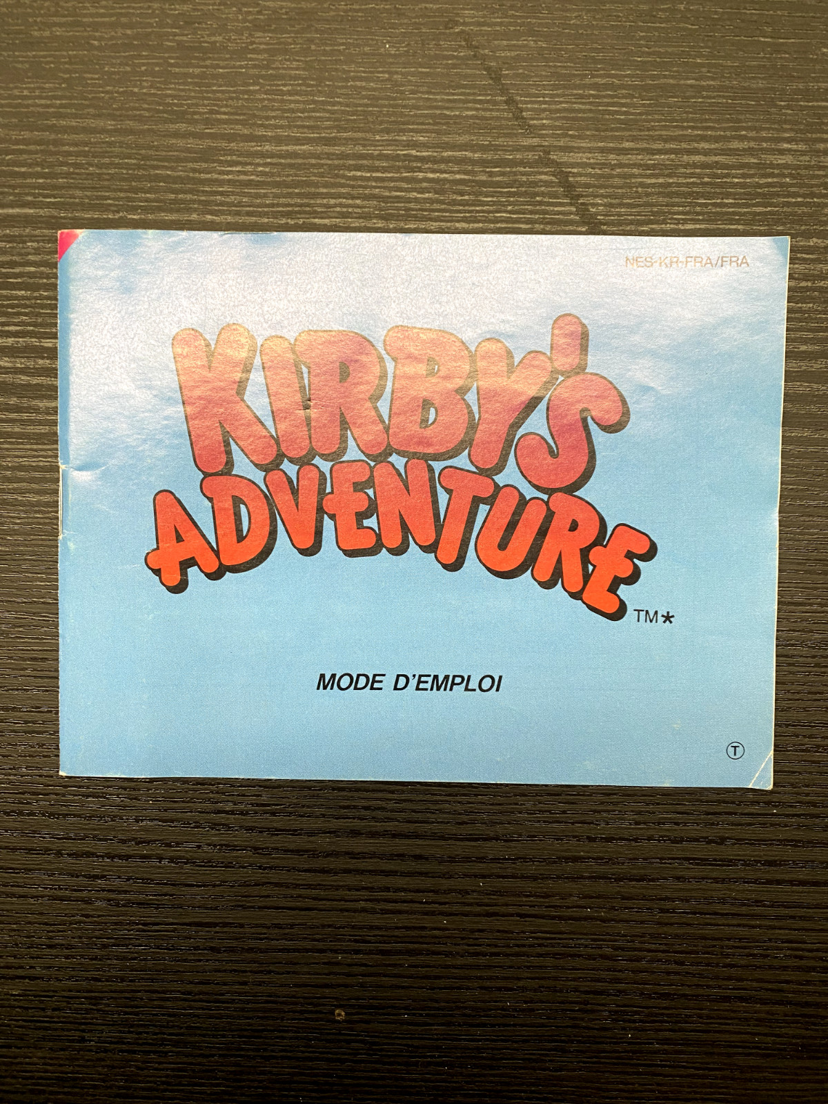 NOTICE SEULE Kirby's Adventure Nintendo NES