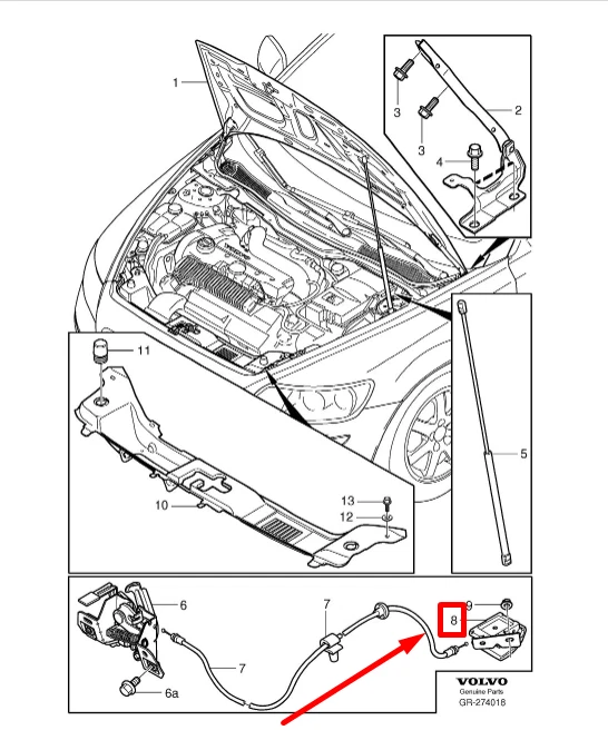 Volvo c30 hood deals
