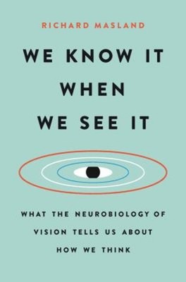 We Know It When We See It : What the Neurobiology of Vision Tells