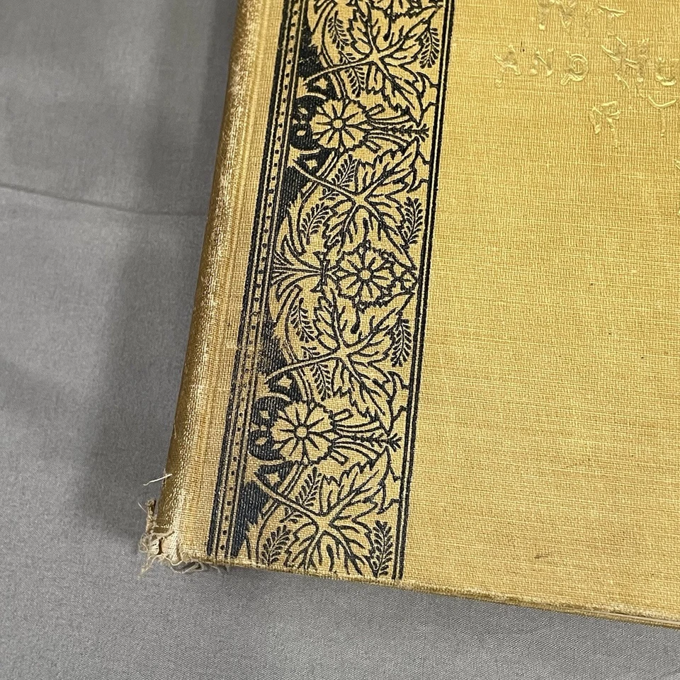 Antique Book 1883 Wit Humor of the Age Mark Twain Star Pub IL Original Print - Image 3 of 4