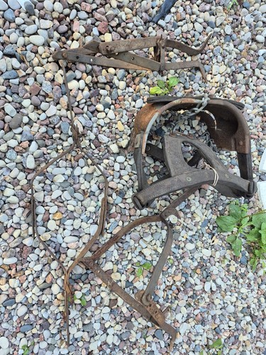 ANTIQUE VETERINARY SPECULUM TOOLS for HORSE,DONKEY