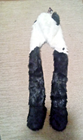 Bild 3 von 11
