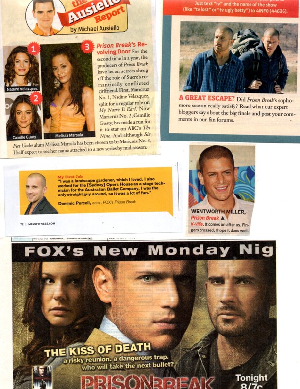 PRISON BREAK tv show 50 separate clippings lot Wentworth Miller Dominic Purcell